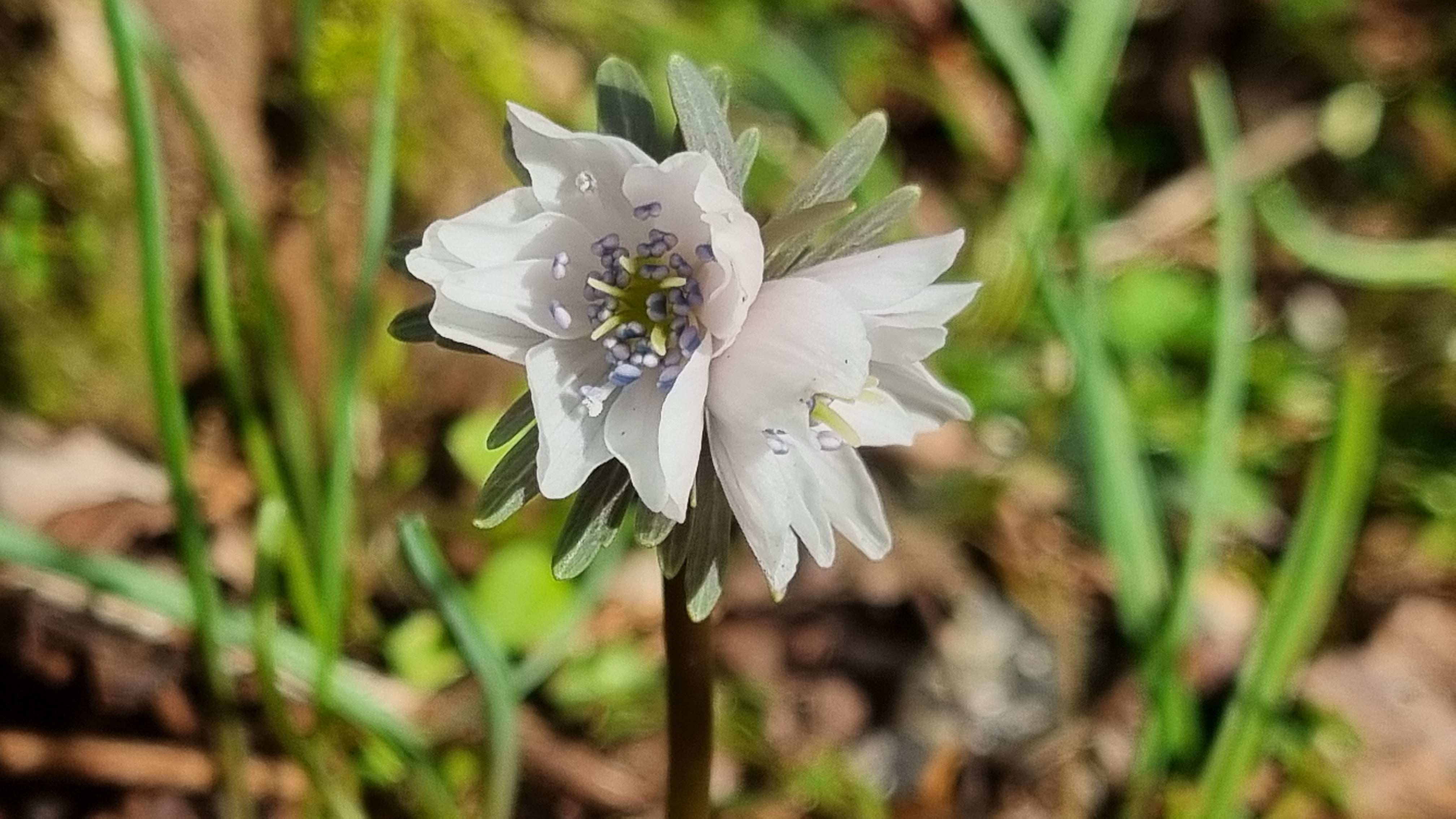 (주)오름 이미지
