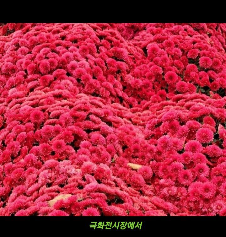 덕목가든 이미지