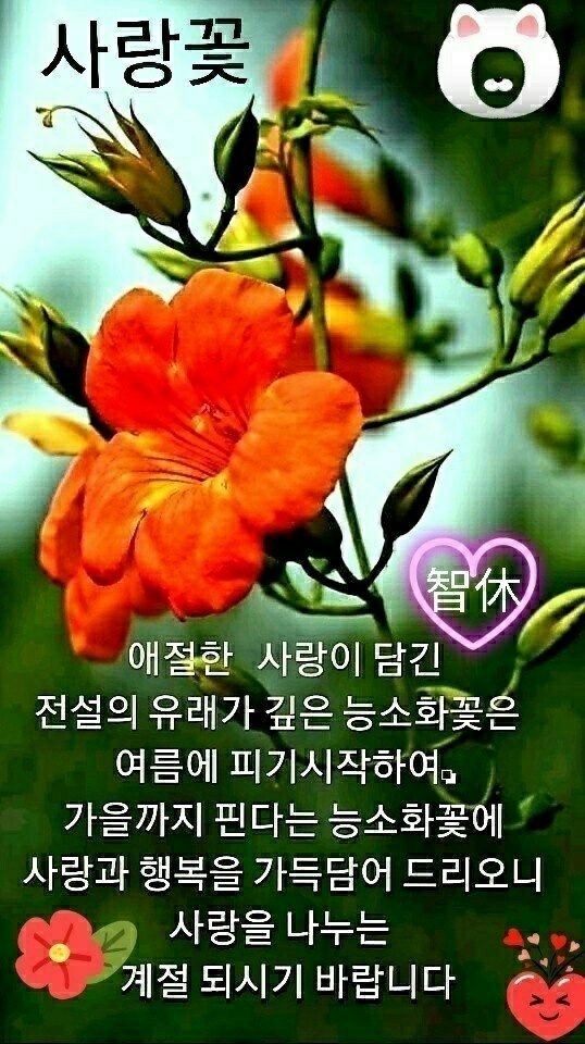 로타리다방 이미지