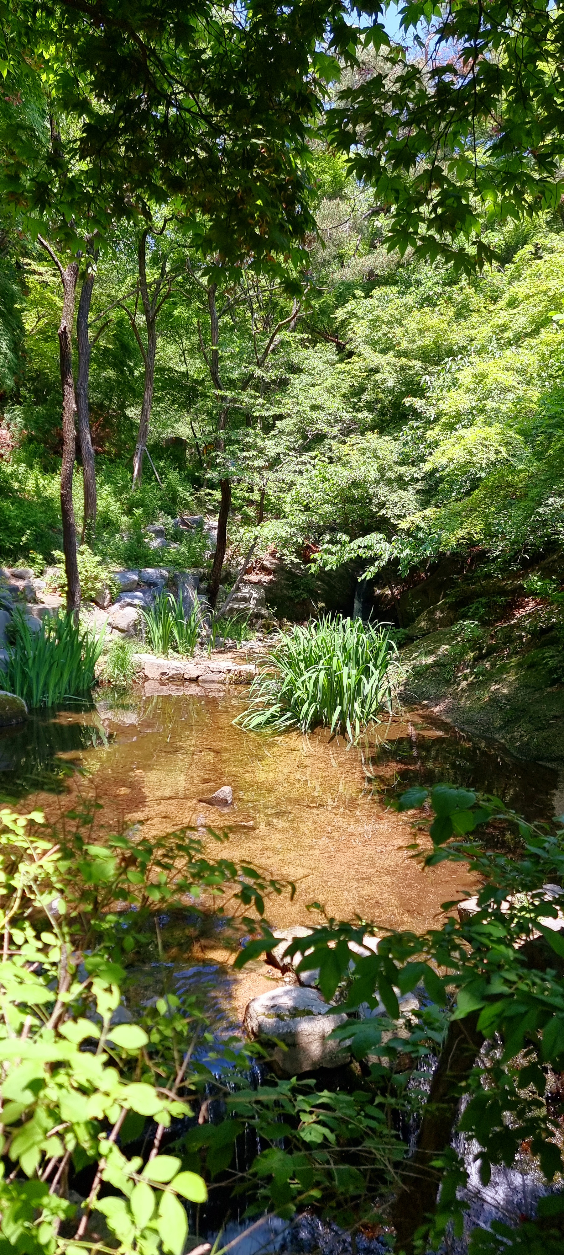 송현공원 이미지