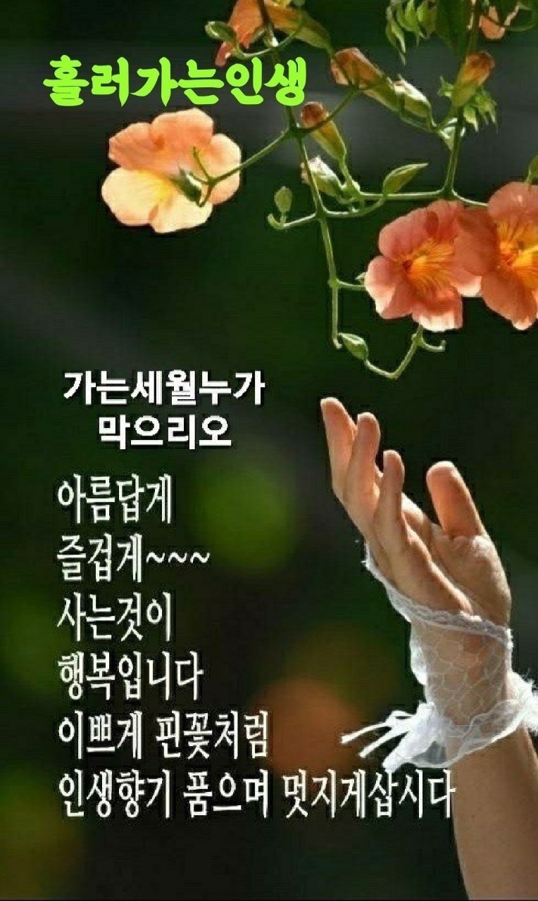 좋은날들 이미지
