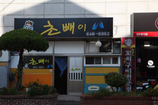 초빼이 이미지