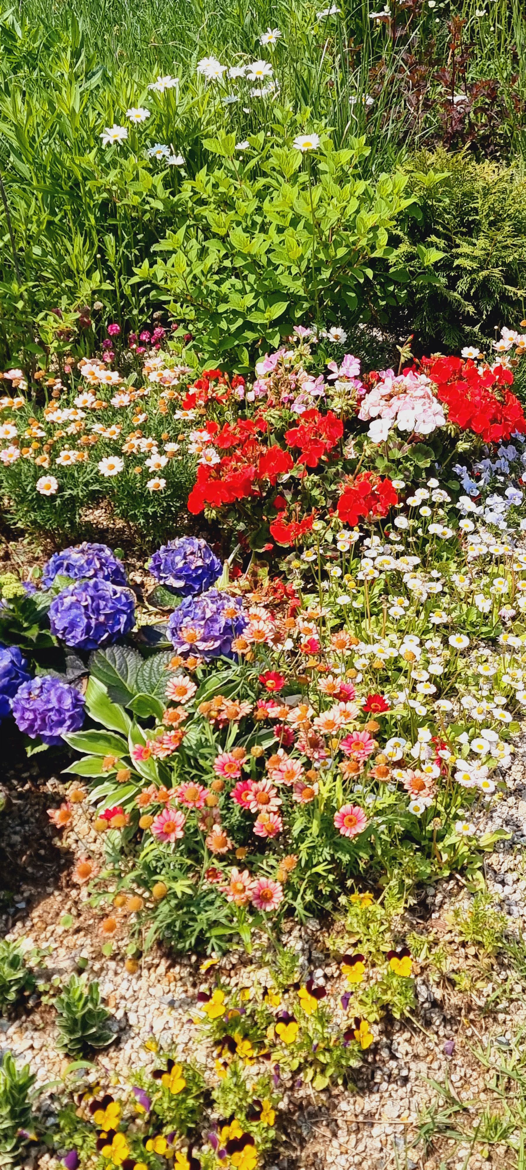 송현공원 이미지