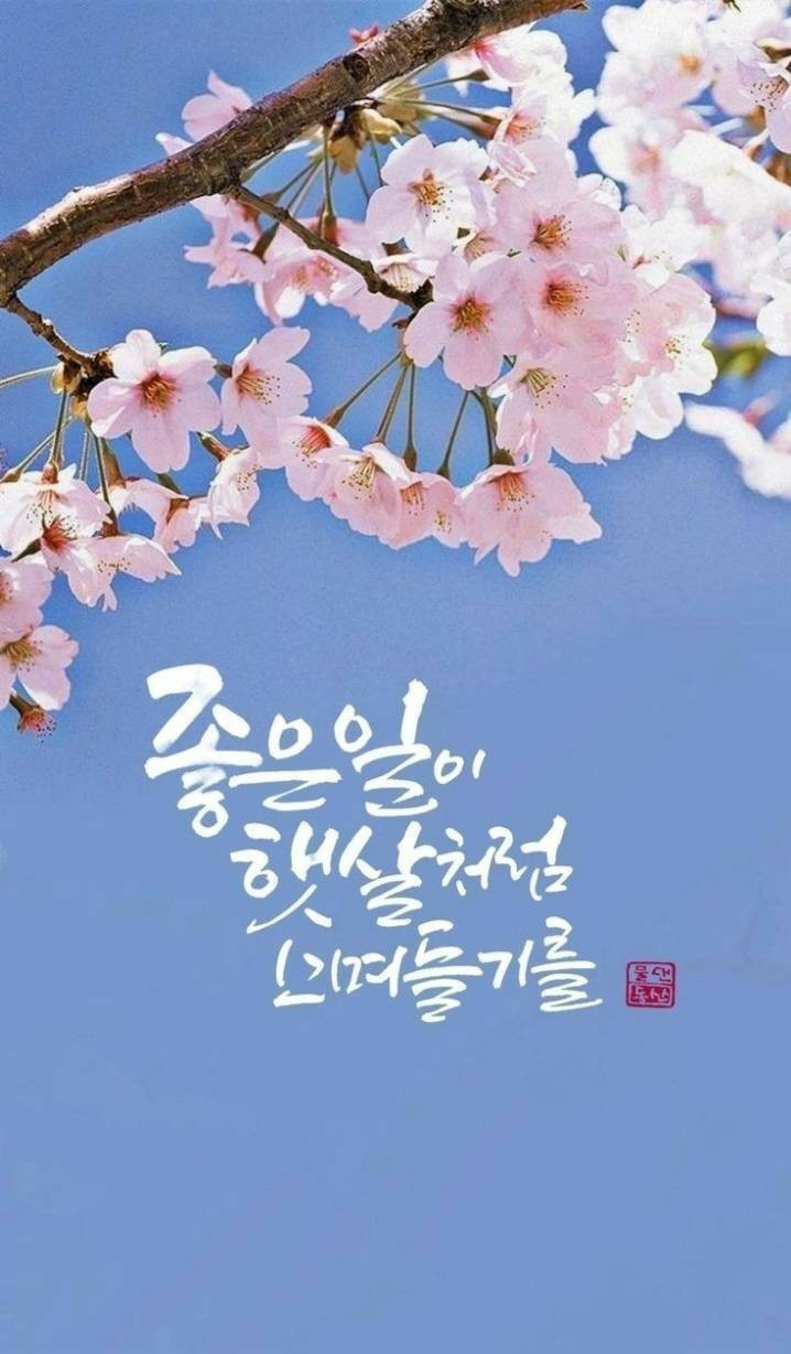 오늘하루가 이미지