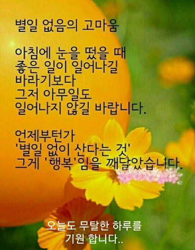터진만두 이미지
