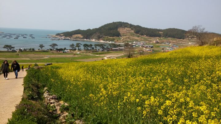 김한장 이미지