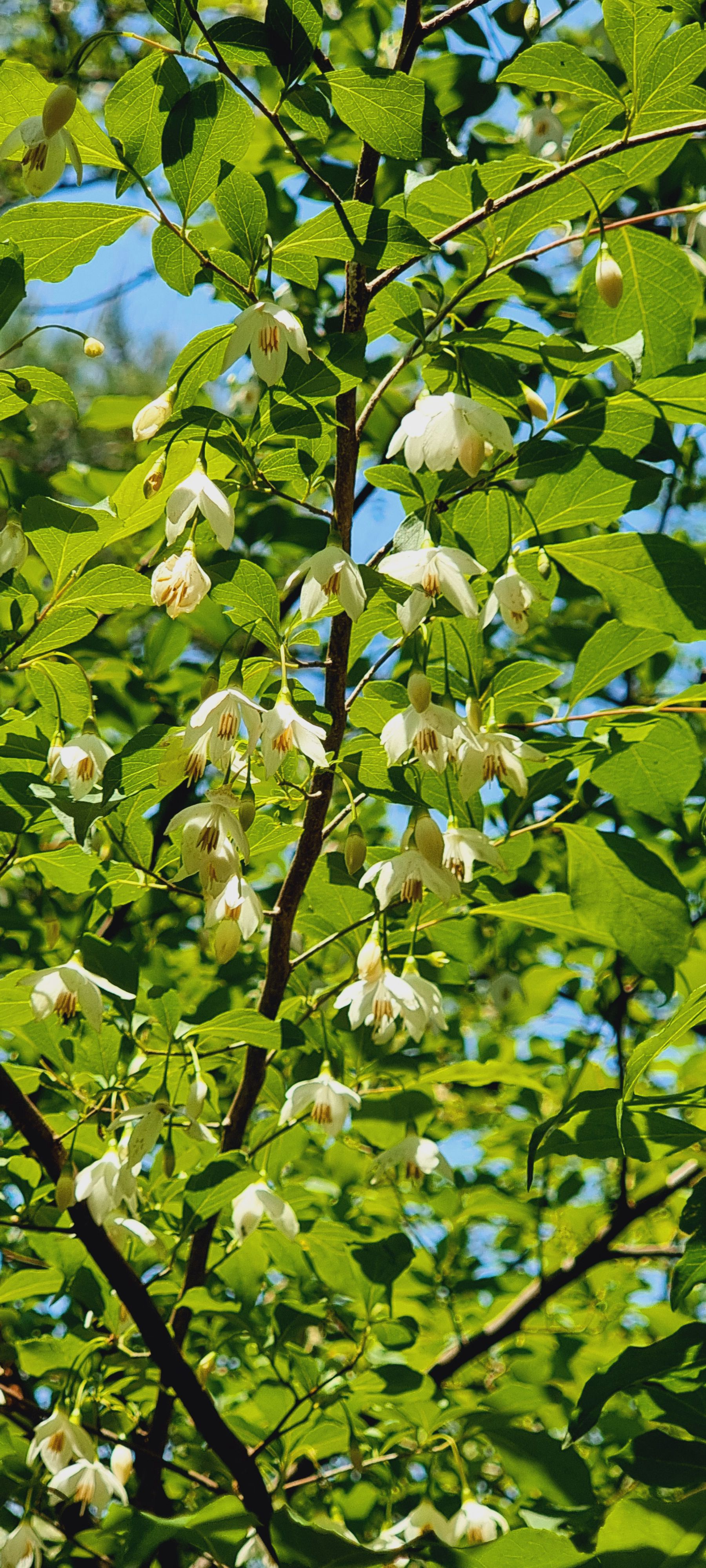 송현공원 이미지