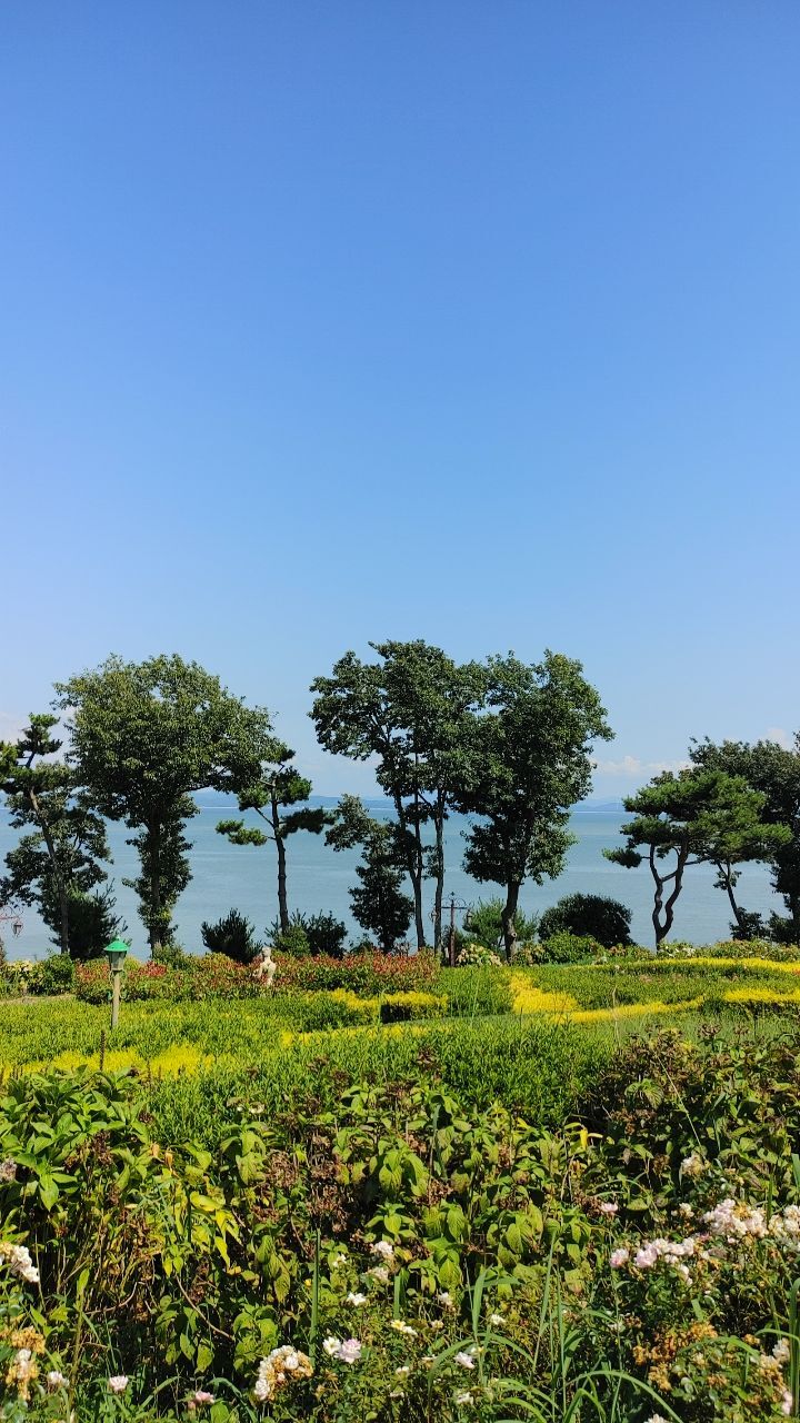 나문재카페 이미지