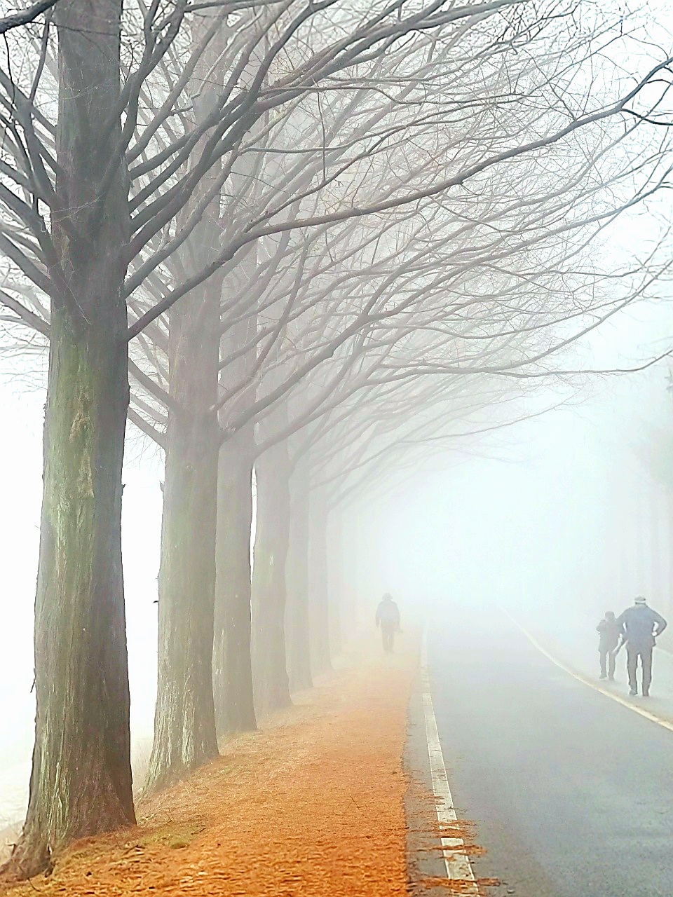 합자회사 풍경 이미지