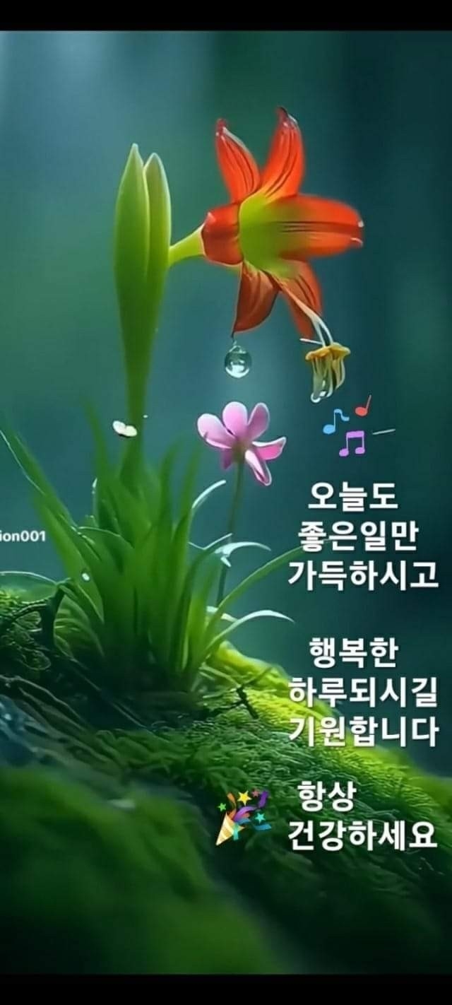 좋은날들 이미지