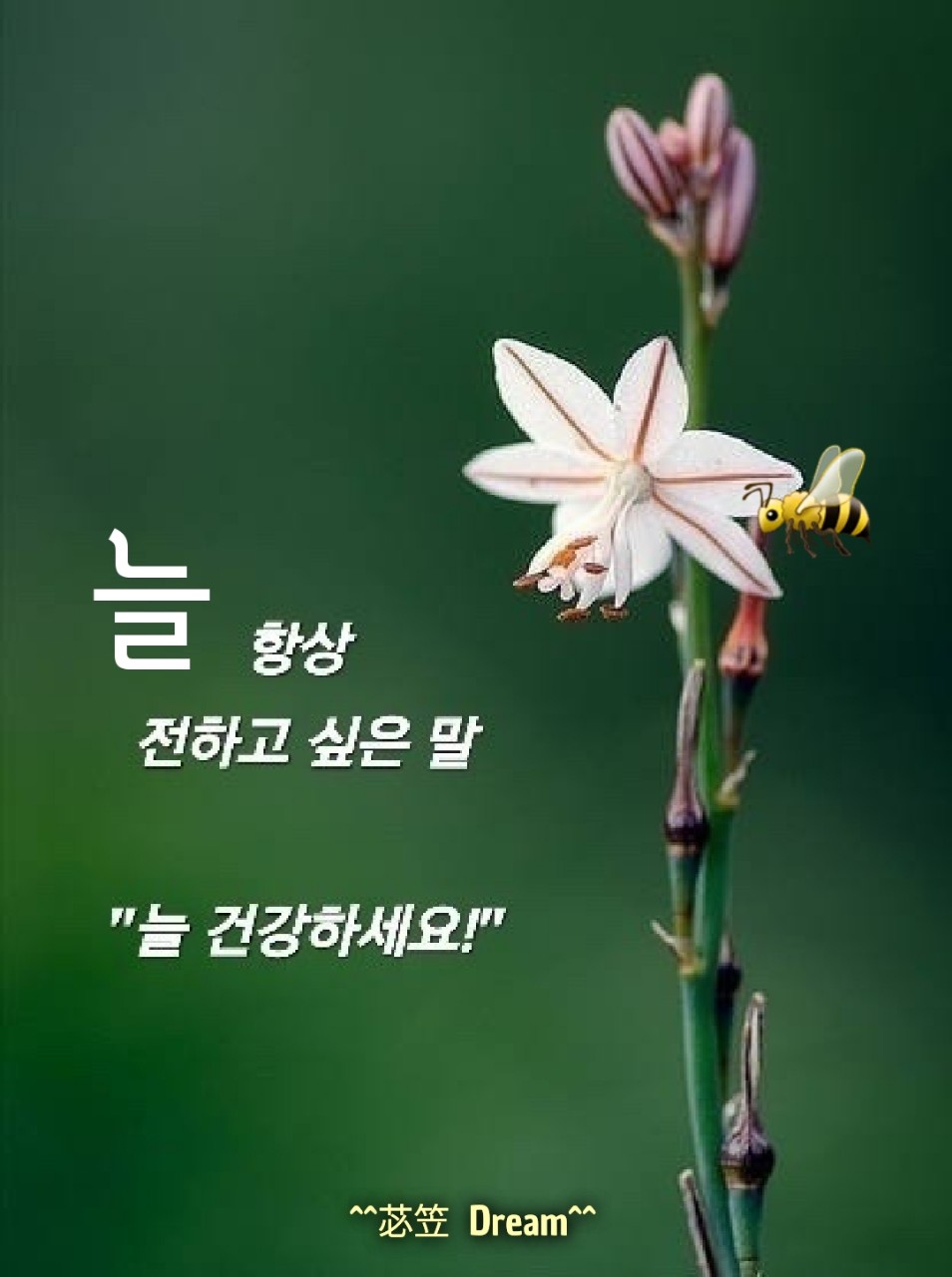 토요일 이미지