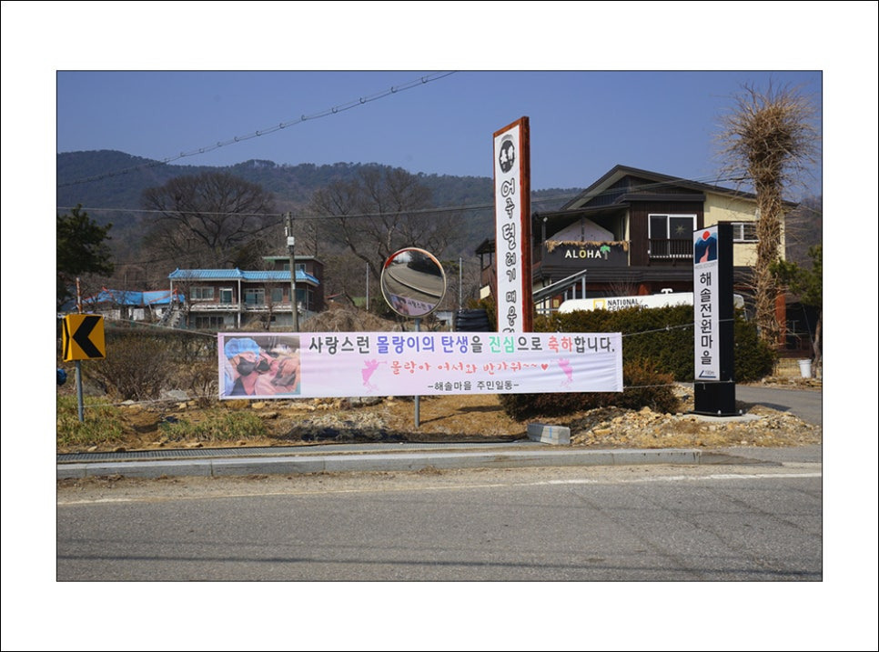 사진사랑 이미지