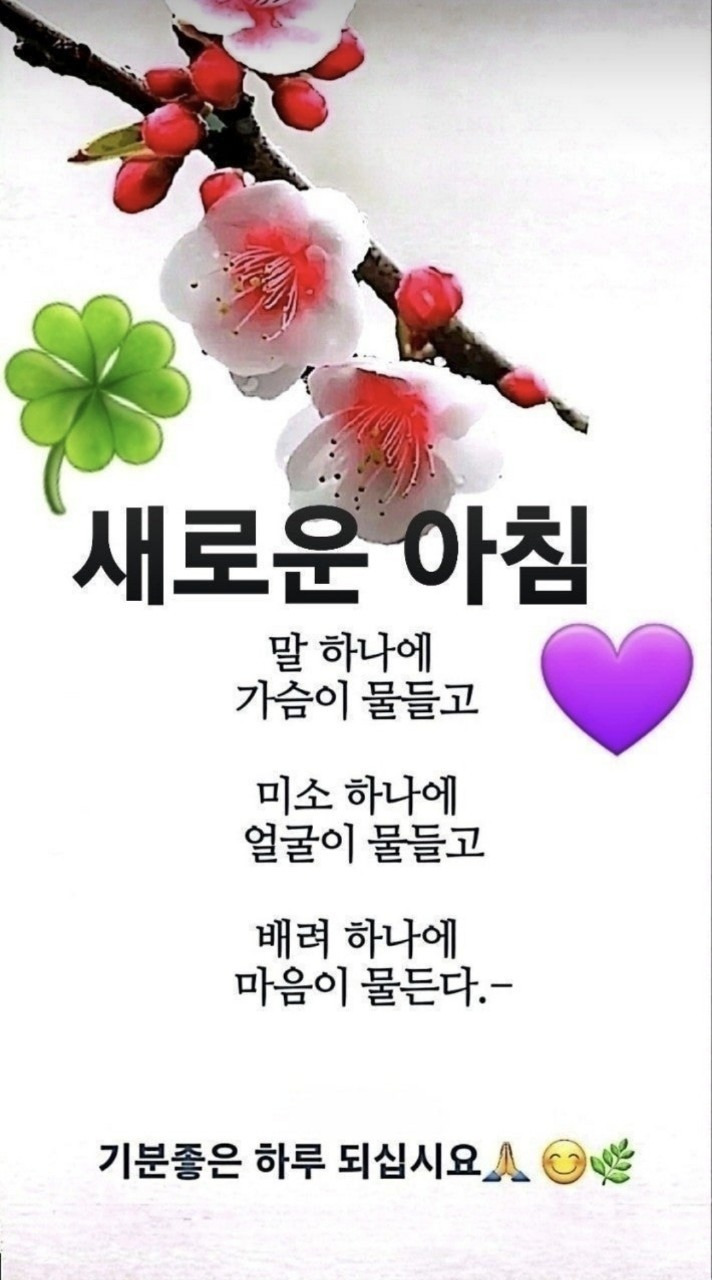 9월 6일 행복한 금요일 개 🐕 띠방 아침인사 🐕 - ♡━━ 개띠방 - 아름다운 5060