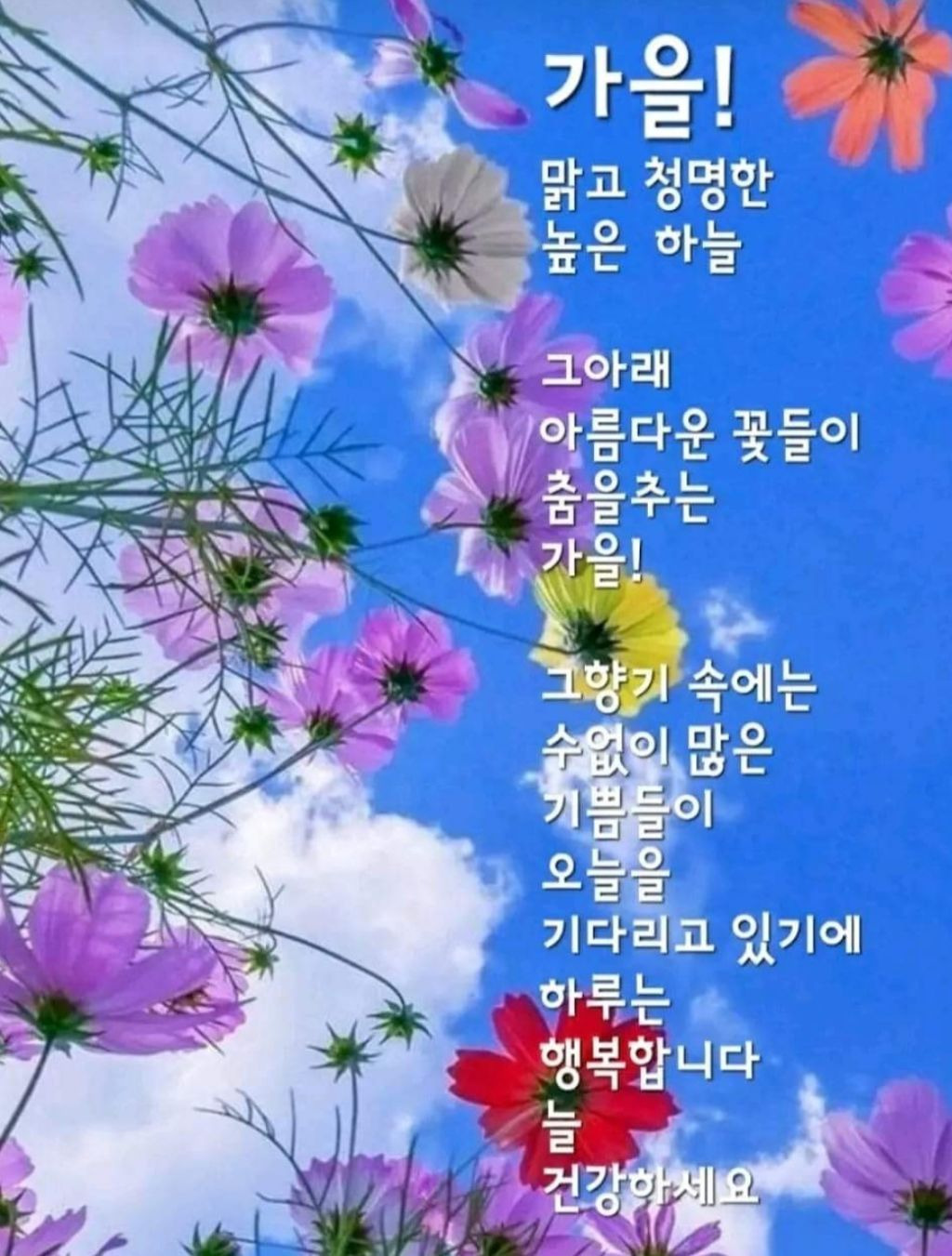 지푸라기 이미지