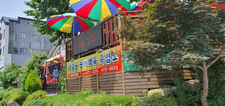 산천흑염소 이미지