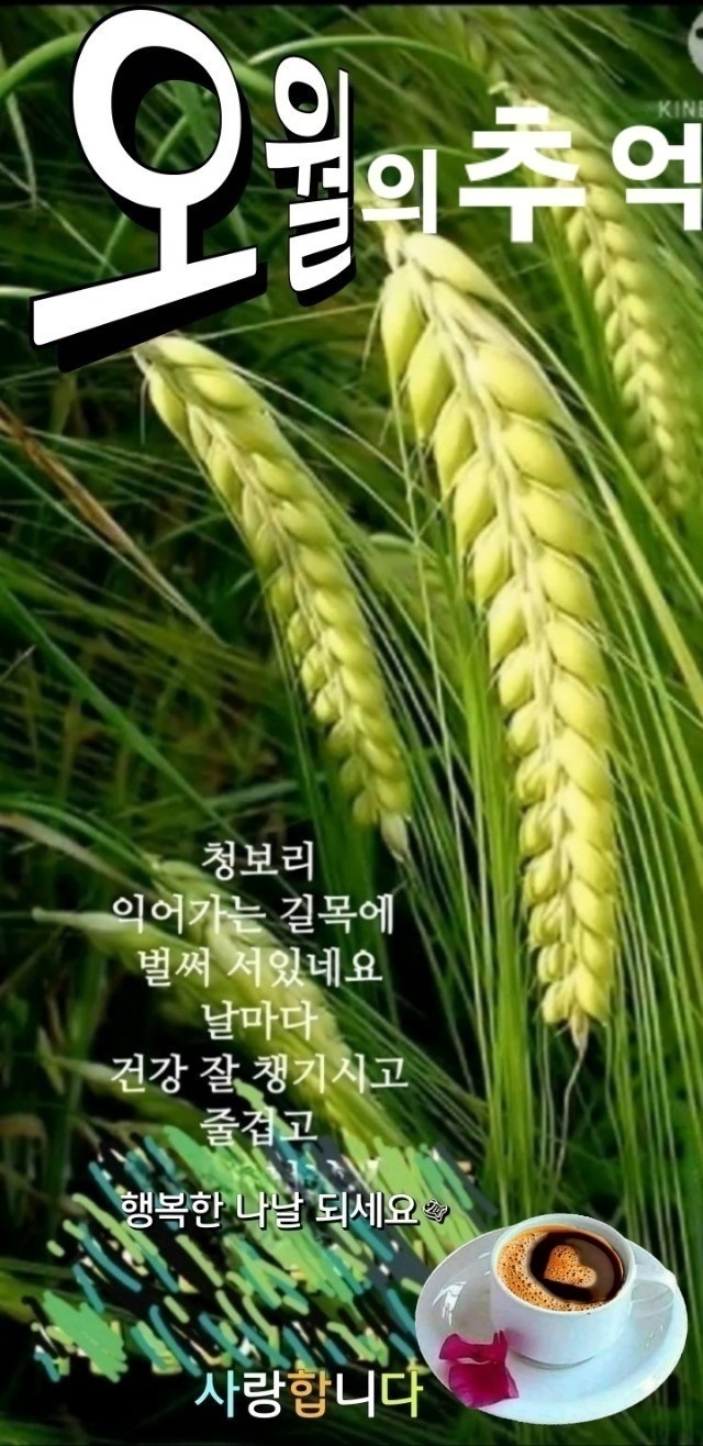 함께합시다 이미지