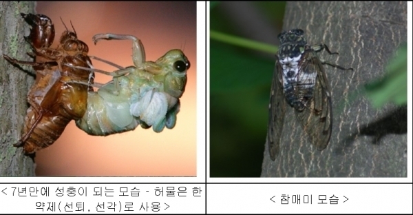 들과숲속에 이미지