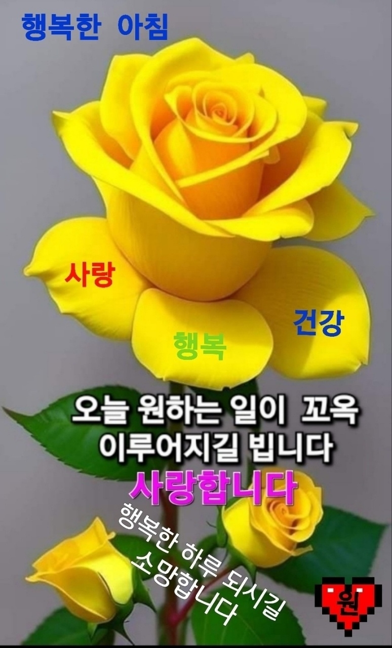 힘내시게 이미지