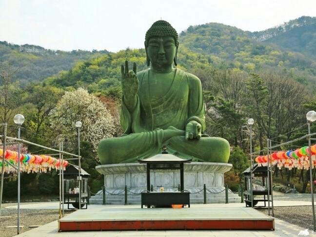 불교 이미지