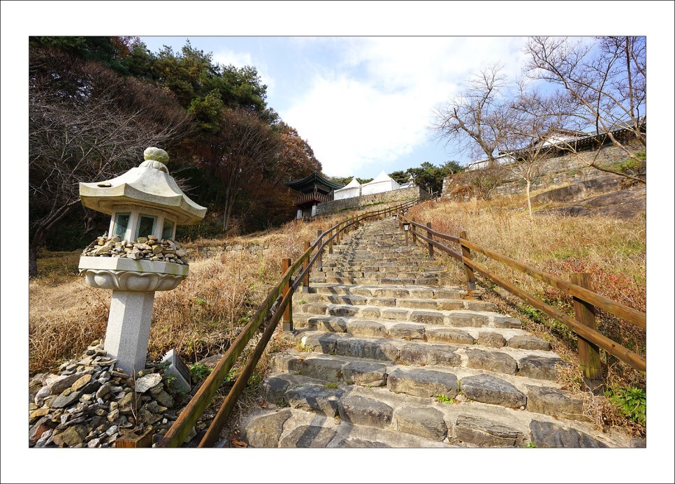 아담장 이미지