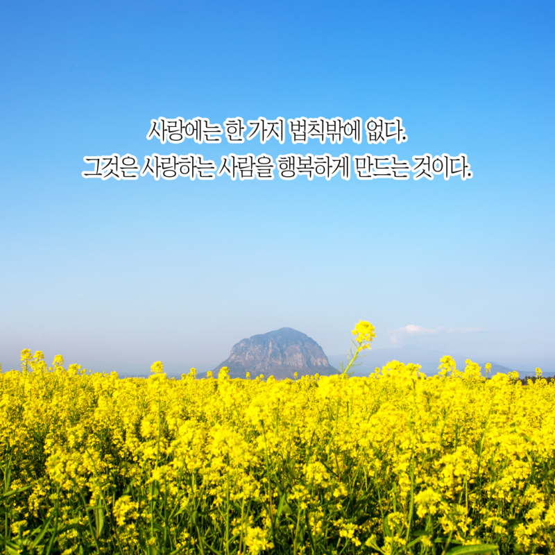 서귀피안 이미지