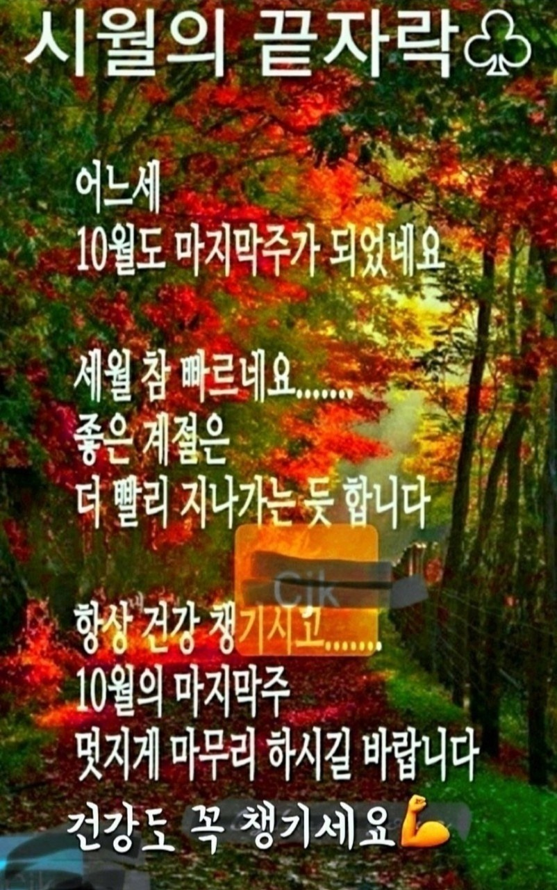 거참 이미지