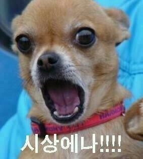 헐 이미지
