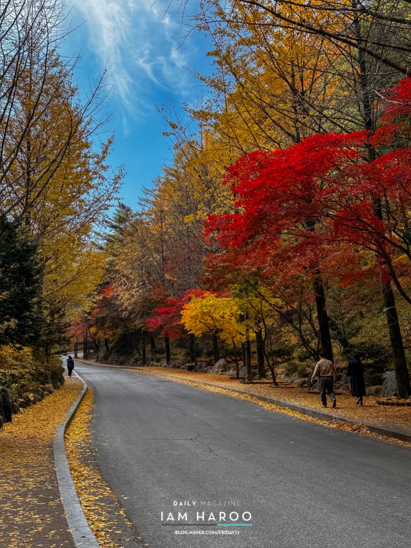 수다방 이미지