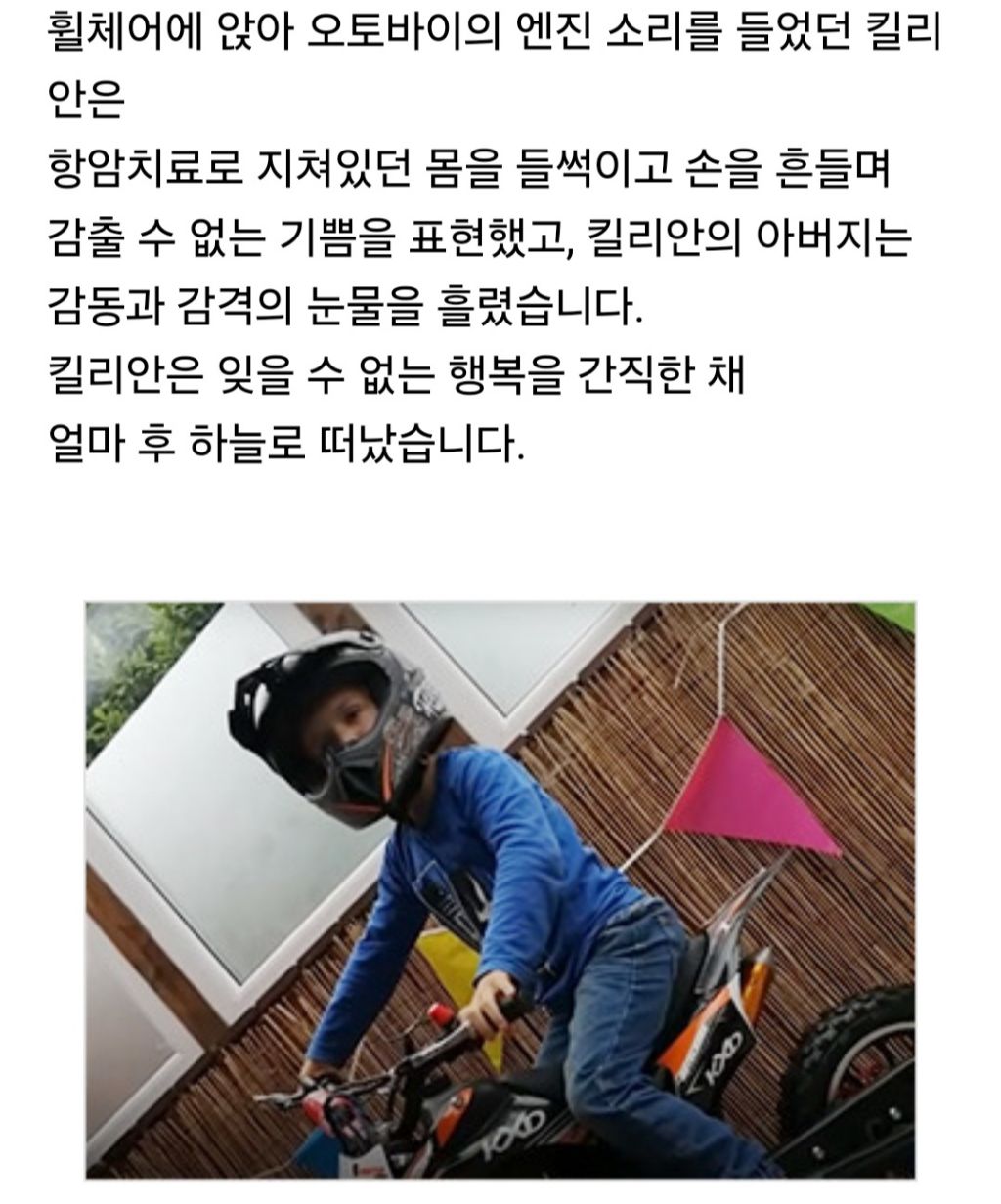 한줄기 이미지