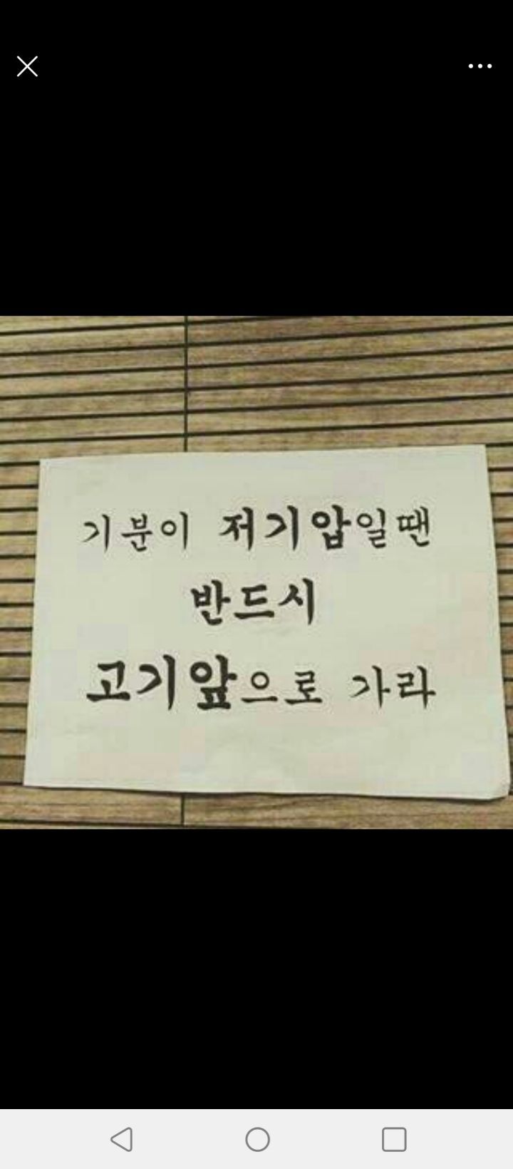 김밥도둑 이미지