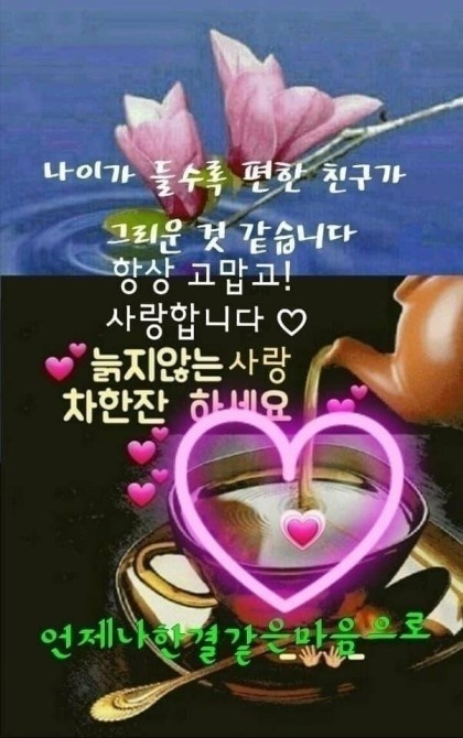 희나리 이미지