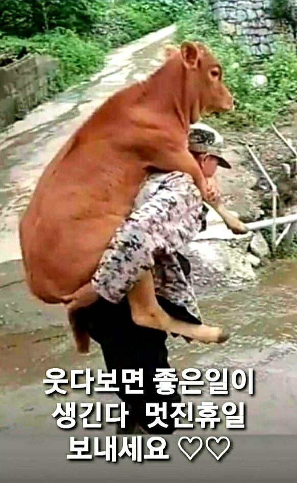 순이 이미지