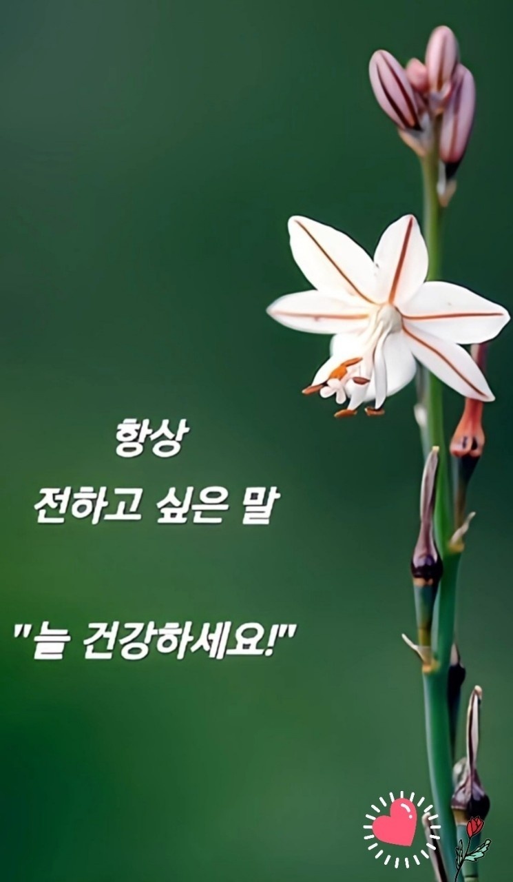 초롱커피숍 이미지
