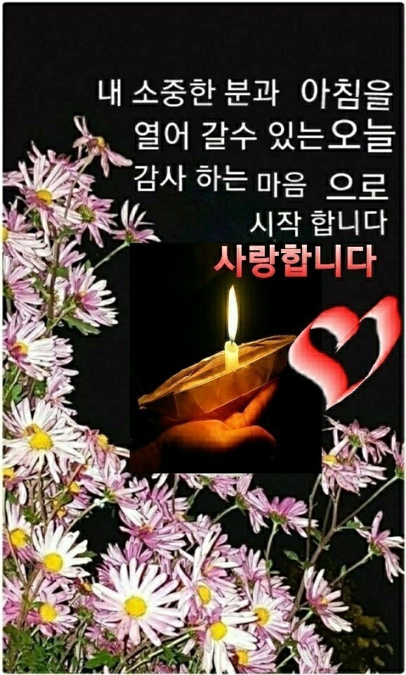 희나리 이미지
