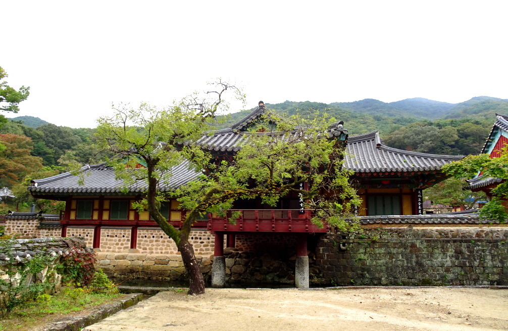 송광사 이미지