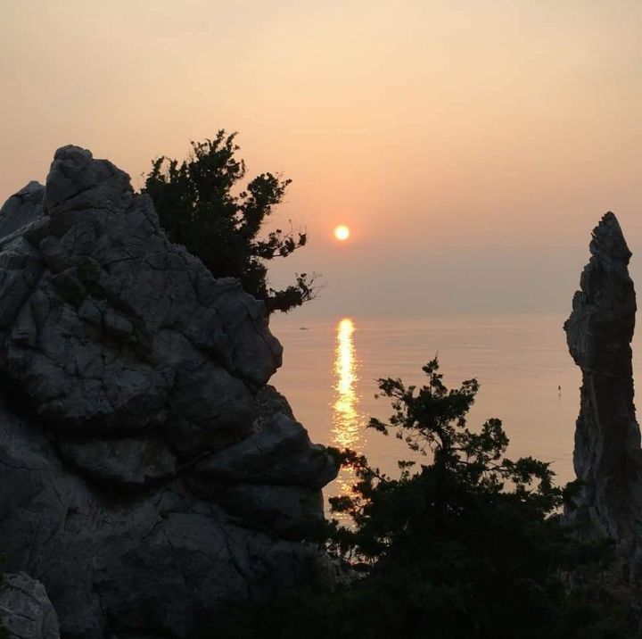 달빛사냥 이미지
