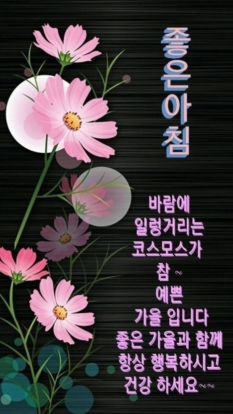 련 이미지