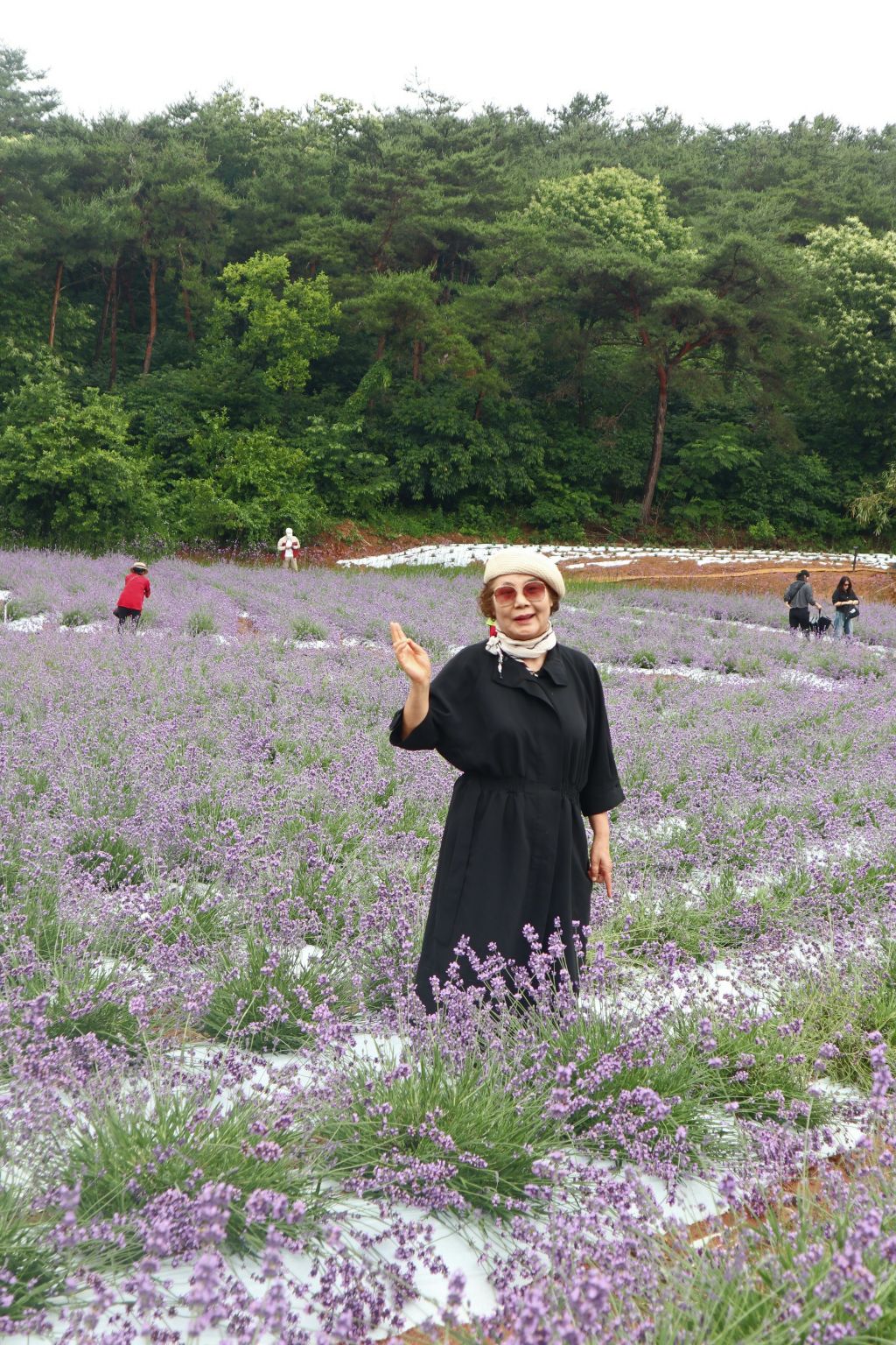 청록원 이미지