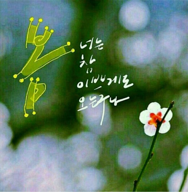 레지나 이미지