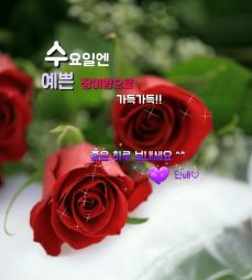 마음 이미지