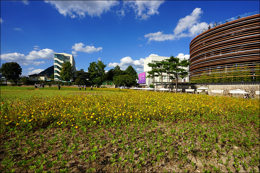송현공원 이미지