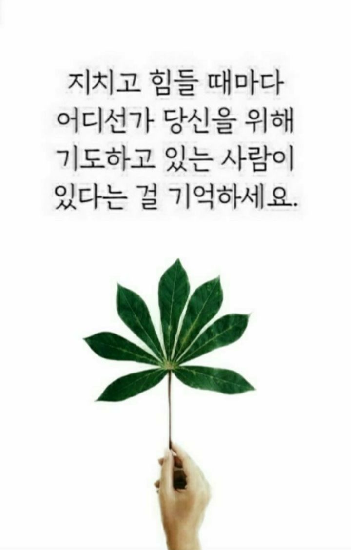 (주)산의 아침 이미지