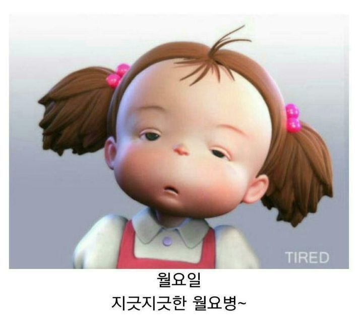 영자다방 이미지