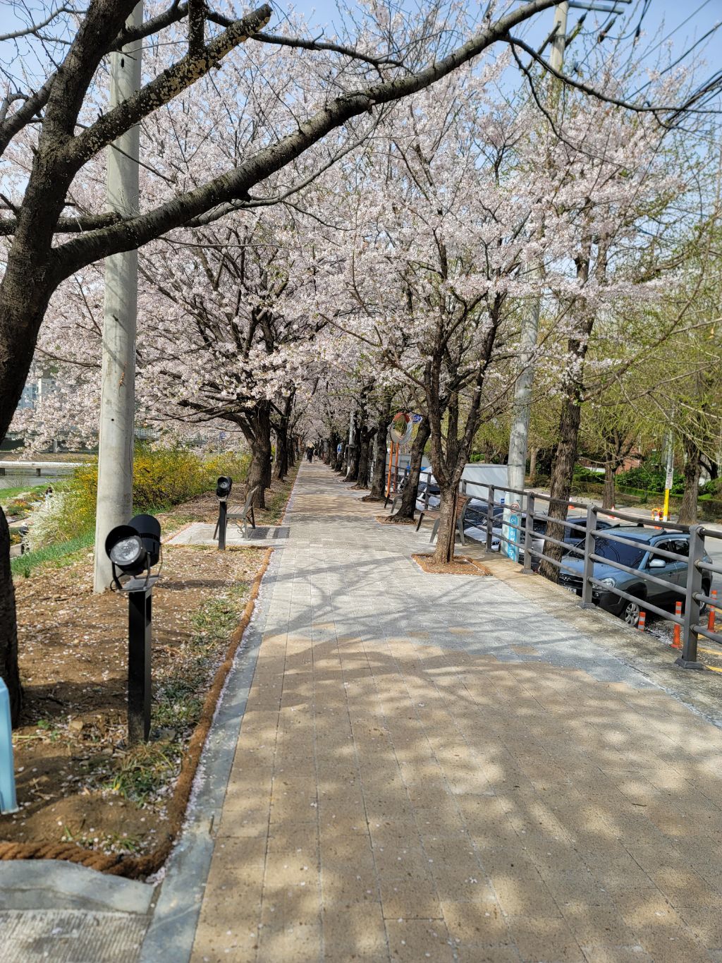 수다방 이미지