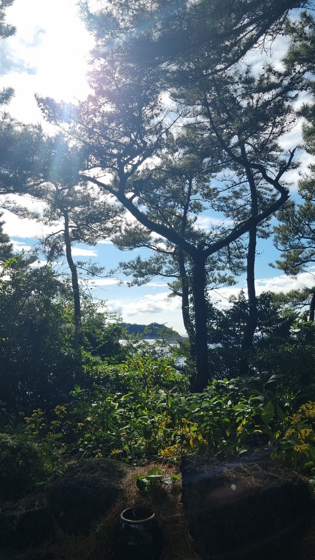 허니문하우스 이미지