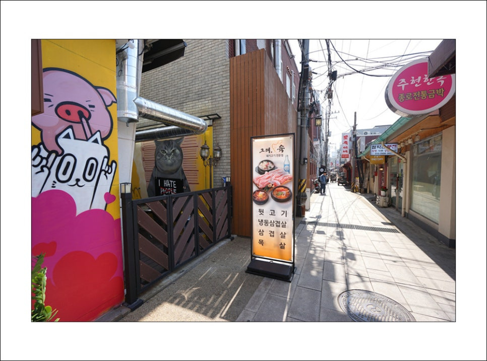 육돼지 이미지