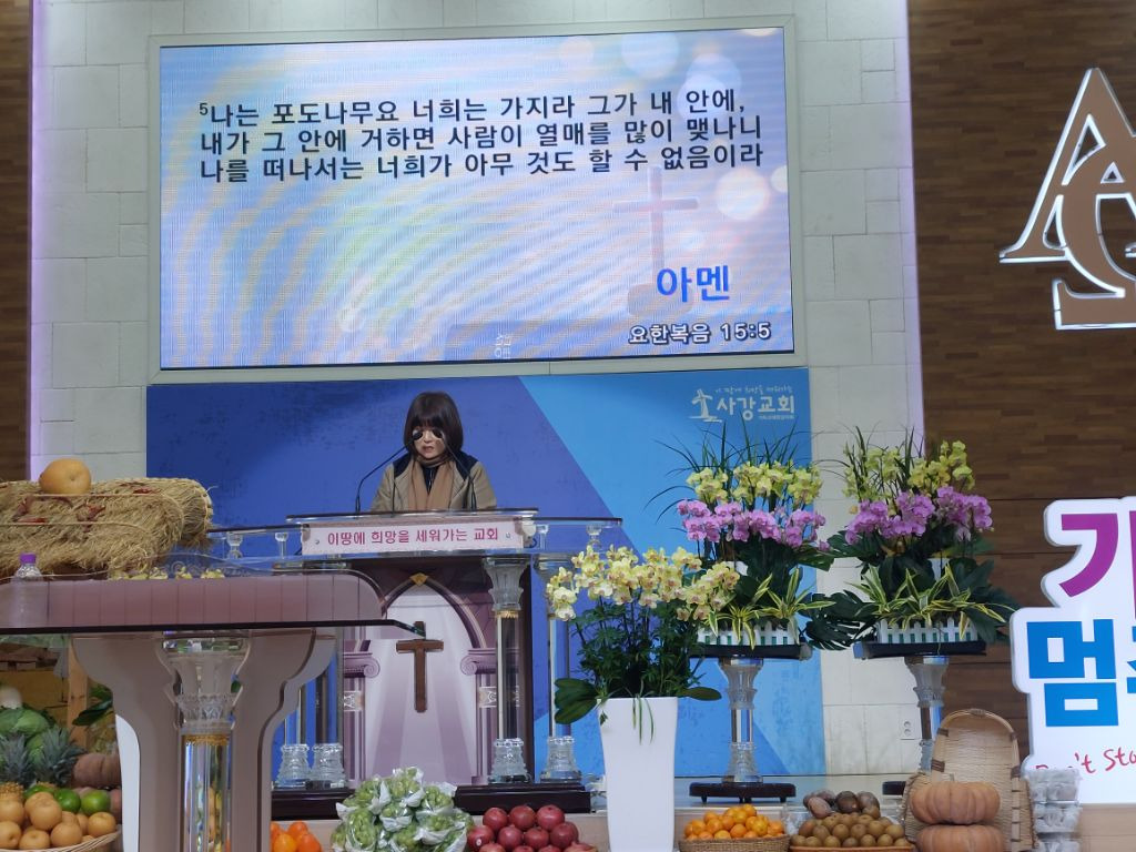 Daum 카페