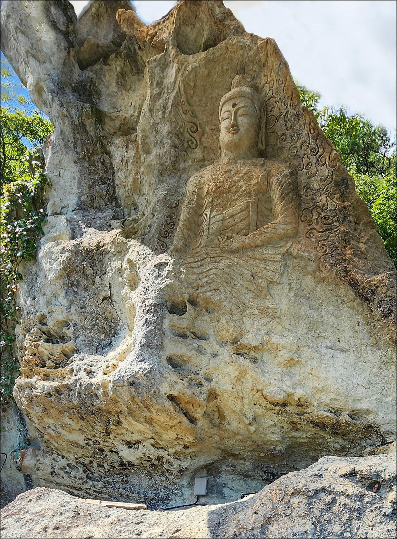 동경주 이미지