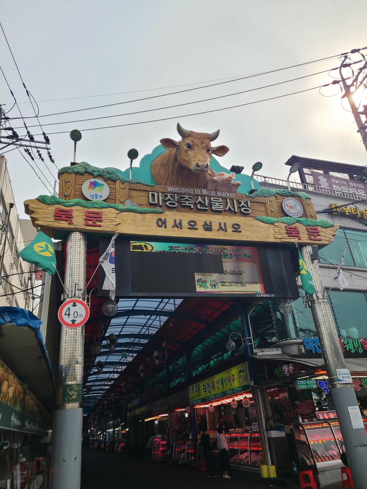 마장동고깃집 이미지