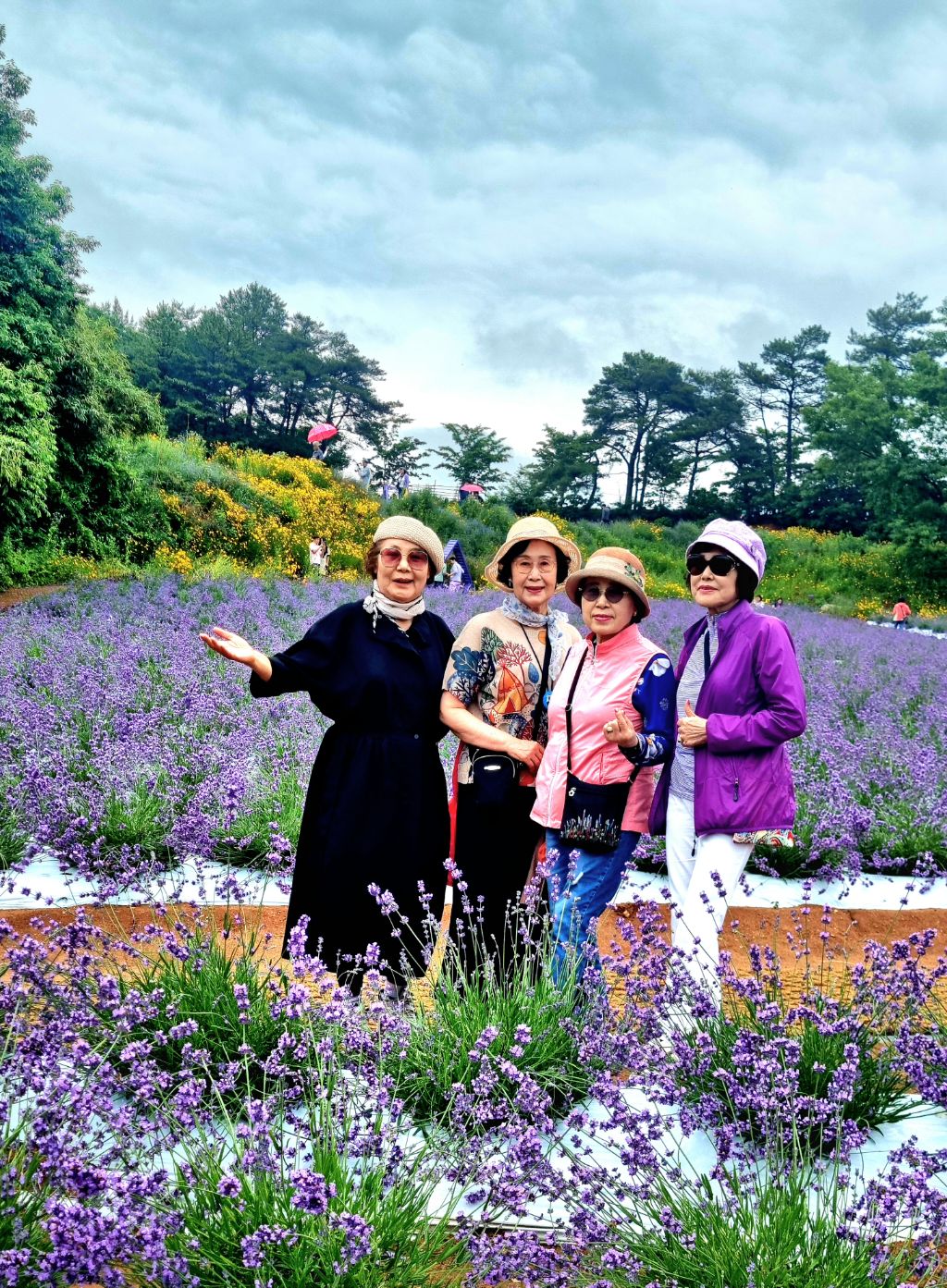 청록원 이미지